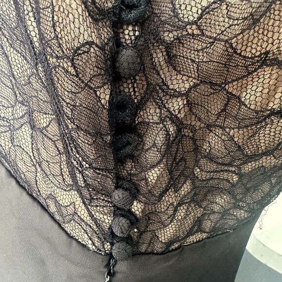 BCBG Max Azria Lace Sheer Silk-Lined Dress Sz 10 - Picture 5 of 7